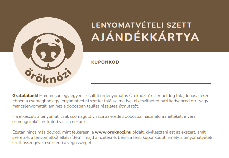 Lenyomatvételi szett